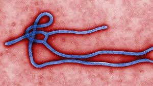 El Ébola en "Milenio 3"